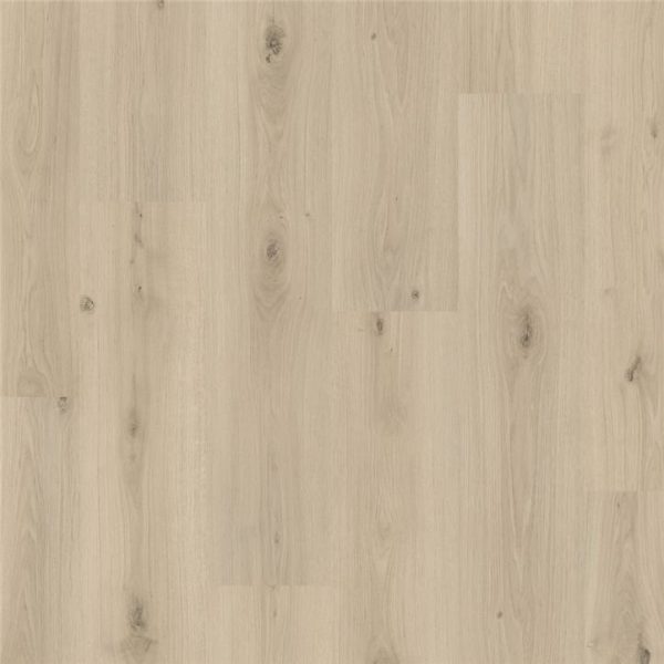 MANDAL CHENE DE BRUME 05024 PERGO