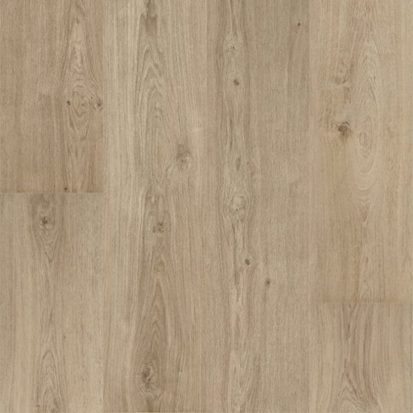 PARQUET VINYLE FLOORIFY CHAMPAGNE F017