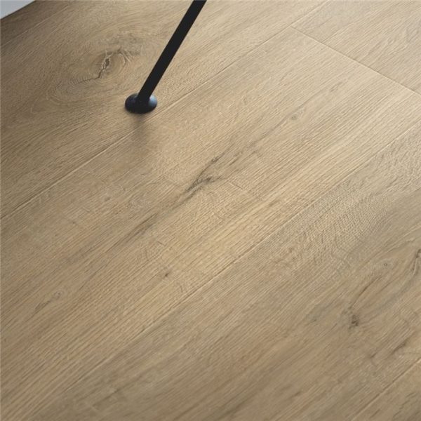 DRAMMEN CHENE DE CORNOUAILLES 05019 PERGO